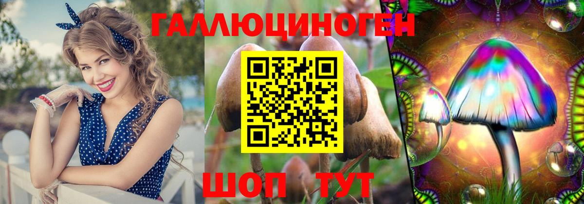 Кызыл  Псилоцибиновые грибы прущие грибы  Вход с VPN 